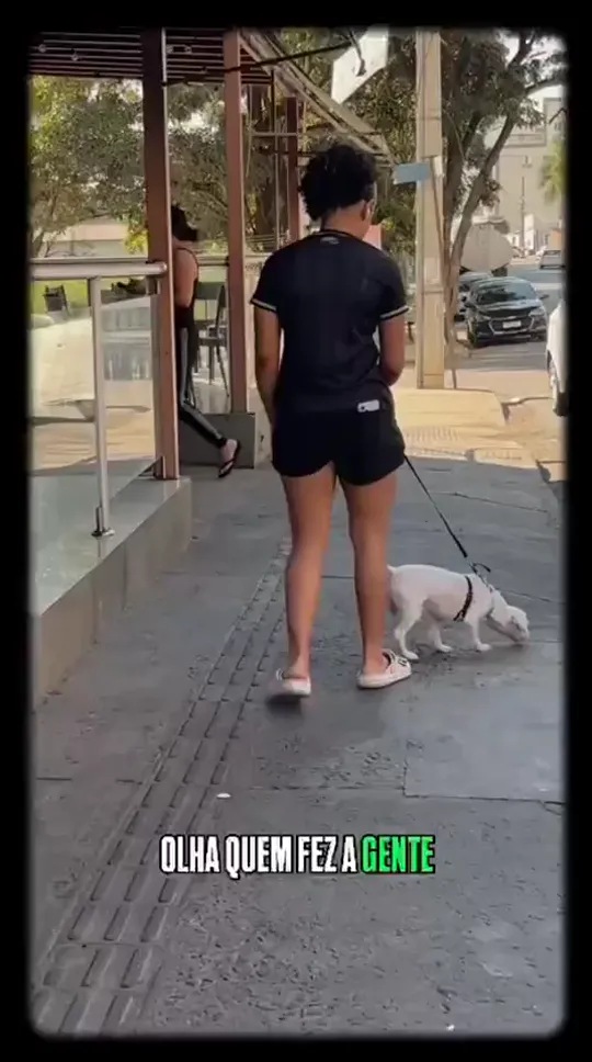 Pessoa passeando com um cachorro na calçada antes de registrar o gasto pelo WhatsApp